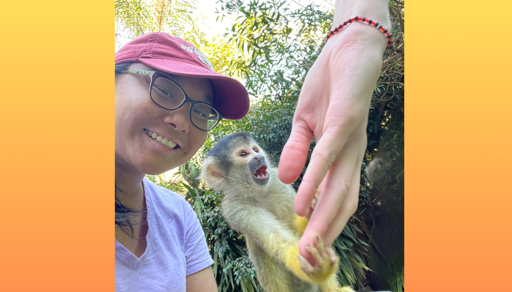 Living in Cape Town as a Chinese American